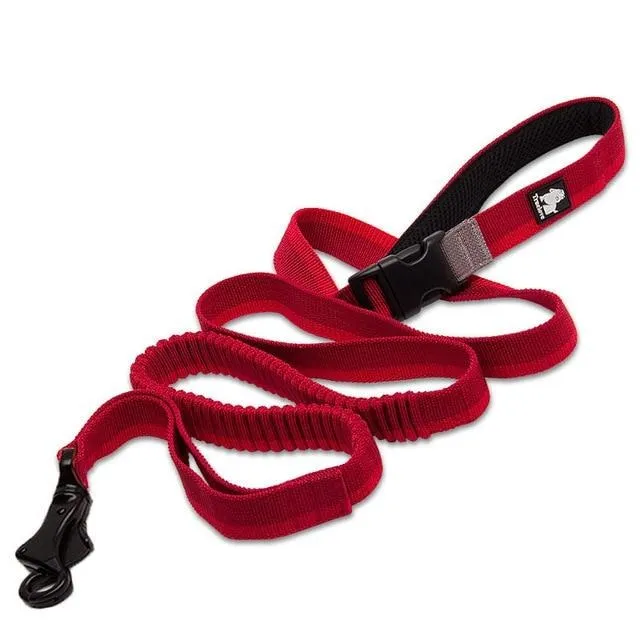 Bungee Leash