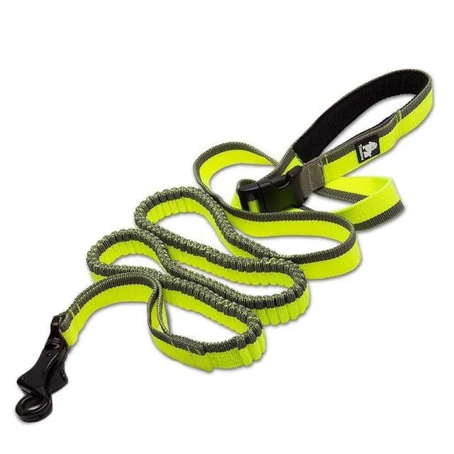 Bungee Leash