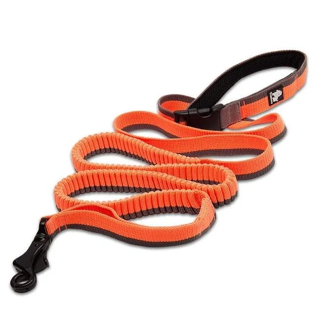 Bungee Leash