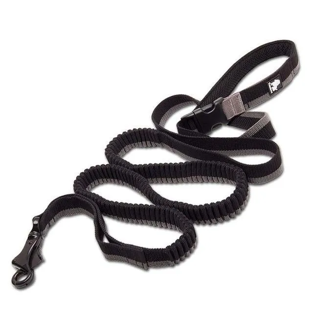 Bungee Leash