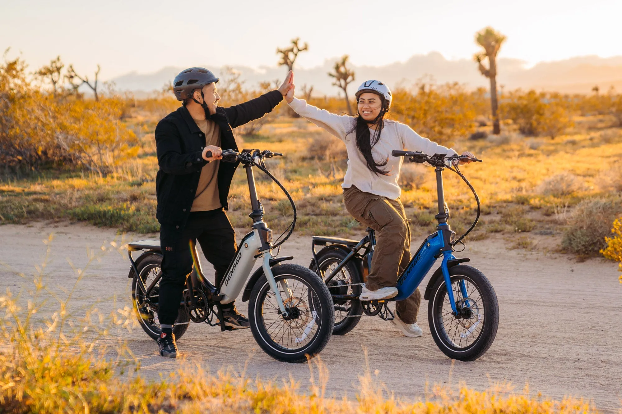 Denago Folding 1 eBike