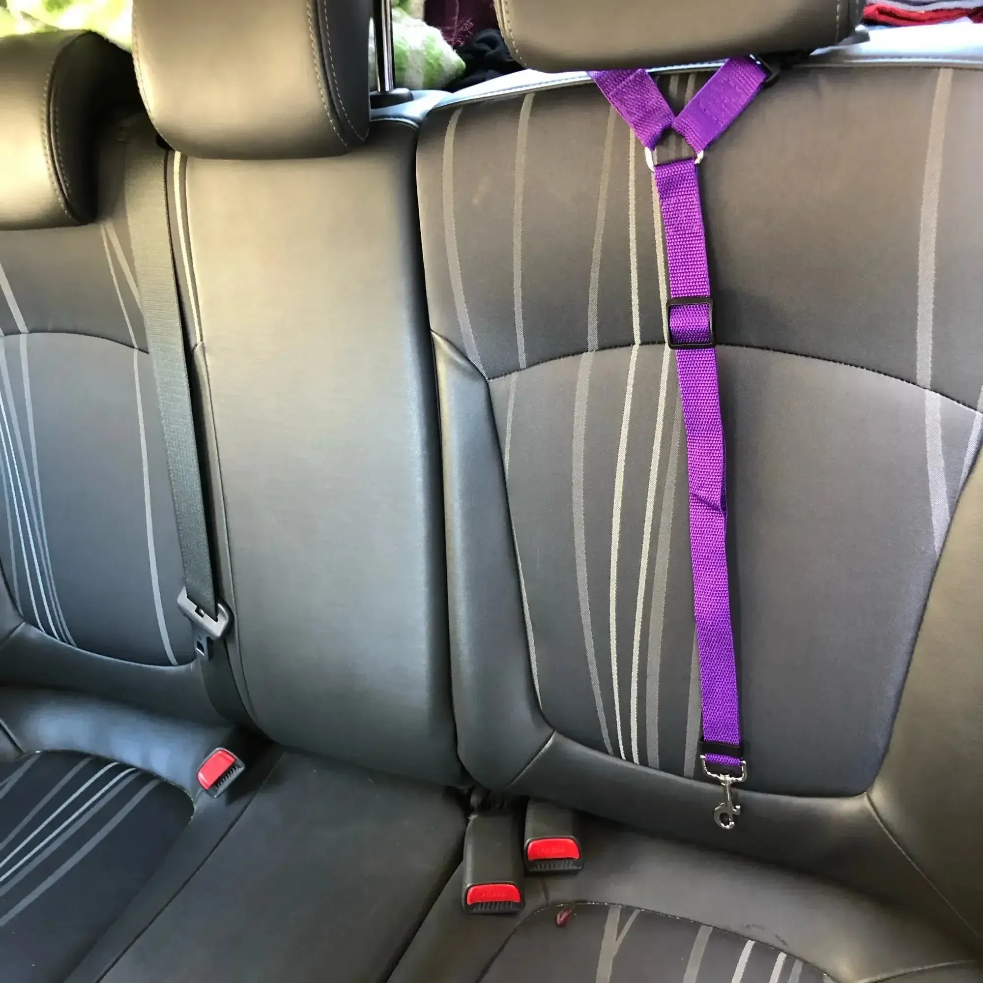 Pet Car Seat Belt & Harness Safety And Style